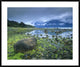 "Low tide revealing algae covered rocks, Alaska"  by Tim Fitzharris, 43x36"