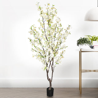 Lifestyle image showing the plant in a real room context with other decor.