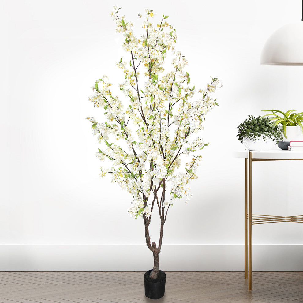 Lifestyle image showing the plant in a real room context with other decor.