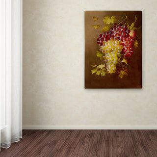 'Still Life with Grapes' Canvas Art by Rio