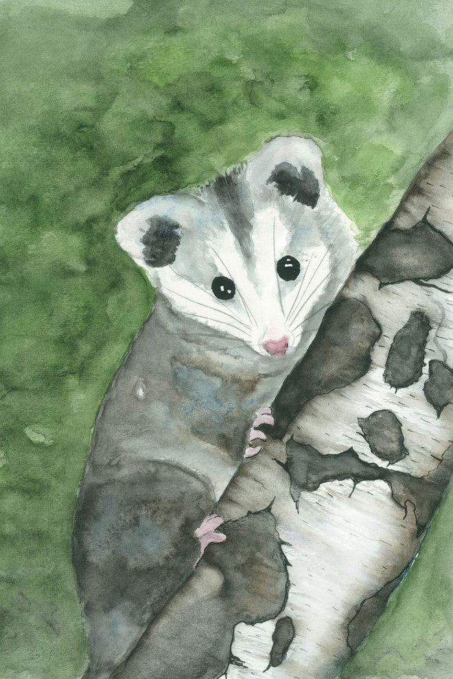 "Curiosity" Painting Print on Wrapped Canvas, 24"x36"