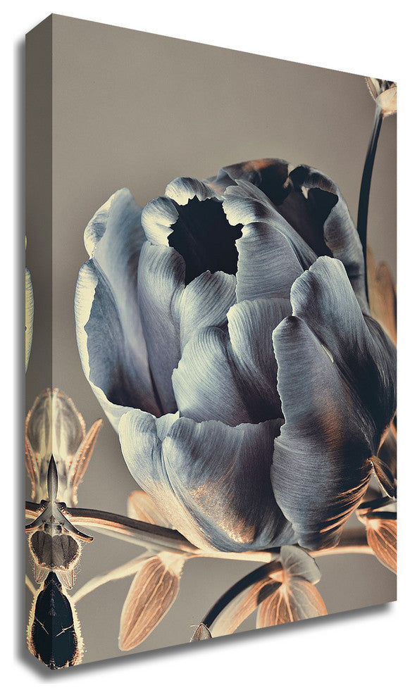 Baroque 3 by Design Fabrikken, Print on Canvas, 20"x28"