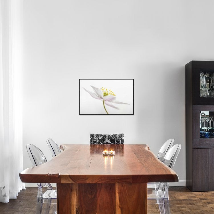"Nemorosa" Framed Canvas Giclee by Mandy Disher, 31x21"