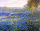 Julian Onderdonk Fields of Bluebonnets Wall Decal