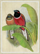 Red Birds 1, Giclee Reproduction Artwork