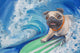 "Surfing Pug" Painting Print on Wrapped Canvas, 24"x16"