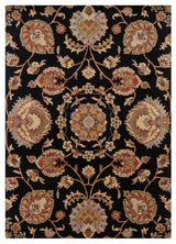 Bajrang Transitional Area Rug, 7'x10'
