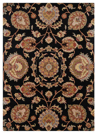 Bajrang Transitional Area Rug, 7'x10'