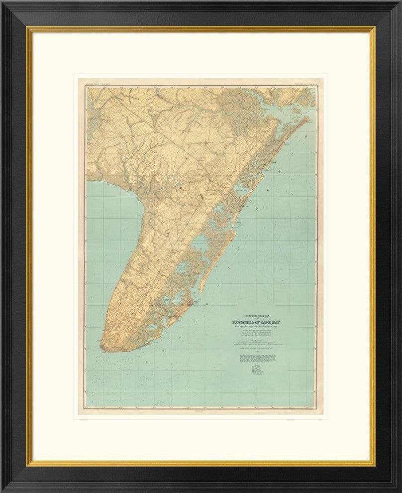 "Cape May, New Jersey, 1888"  by Geological Survey of New Jersey, 26x32"