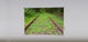 "Railway Track Green" Artwork, 3' Shade, Fabric, Right