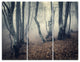 "Mystical Yellow Fog in Fall Forest" Photo Wall Art, 3 Panels, 36"x28"