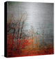 "Deep Forest" UV Ink Print on Brushed  Aluminum, 32"x32"