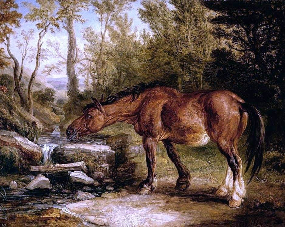 James Ward A Horse Drinking at a Stream, 20"x25" Wall Decal