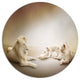 White Lion Family, Animal Large Disc Metal Wall Art, 11"