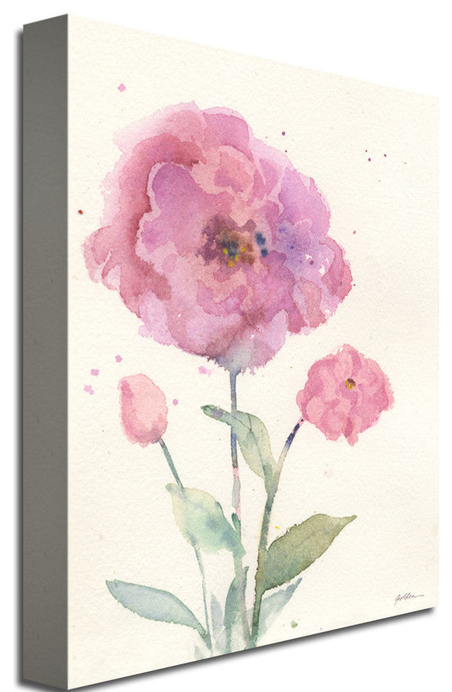 ''Camelia Blush'' Canvas Art by Sheila Golden