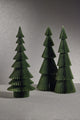 Miriam 24" Paper Decorative Alpina Trees- Light Green, Set of 2