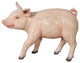 Piglet Porker Baby Hog Sculpture