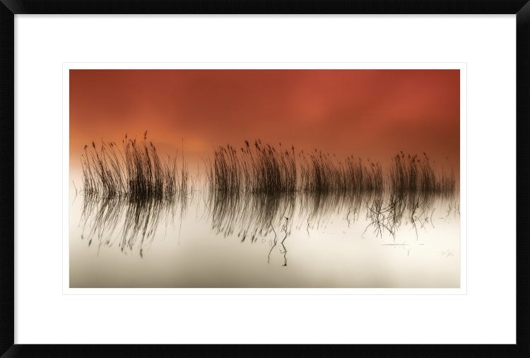 "Serenity" Framed Digital Print by Rui David, 30"x20"