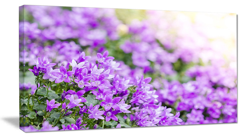 Beautiful Campanula Flower Bouquet, Large Floral Canvas Artwork, 32"x16"
