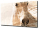 Equestrian Saddle Ink xI' ArtPlexi by Ready2HangArt, Ps11-Ac1624