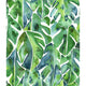 Cat Coquillette Philodendron Peel & Stick Wallpaper