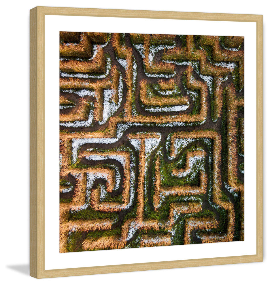 "Earth Maze" Framed Print by Karolis Janulis
