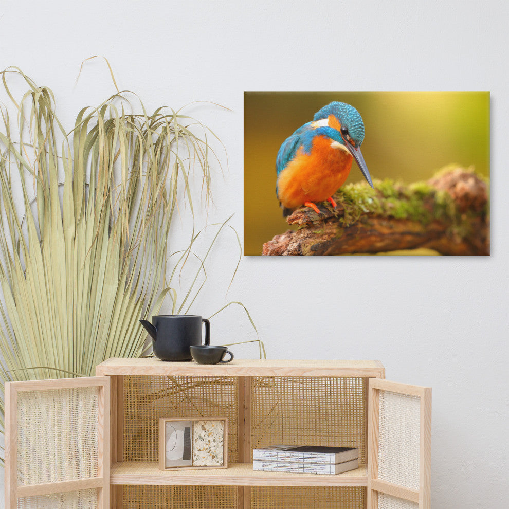 Kingfisher Bird on Perch 2 Animal Wildlife Photo Canvas Wall Art Prints, 24" X 36"