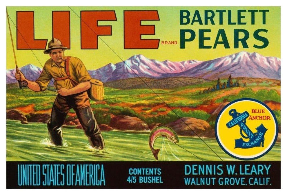 "Life Brand Bartlett Pears" Digital Paper Print by Retrolabel, 38"x26"