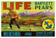 "Life Brand Bartlett Pears" Digital Paper Print by Retrolabel, 38"x26"