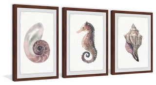 "Sea Stuff Triptych" Framed Painting Prints, 36"x18", 3-Piece Set