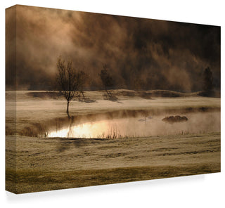 Kremena Nikolaeva 'Gold And Copper' Canvas Art, 47"x30"