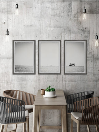 A Lone Bison Triptych, Set of 3, 20x30 Panels