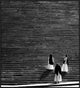 "Untitled" Framed Canvas Giclee by Francesco Santini, 37x41"