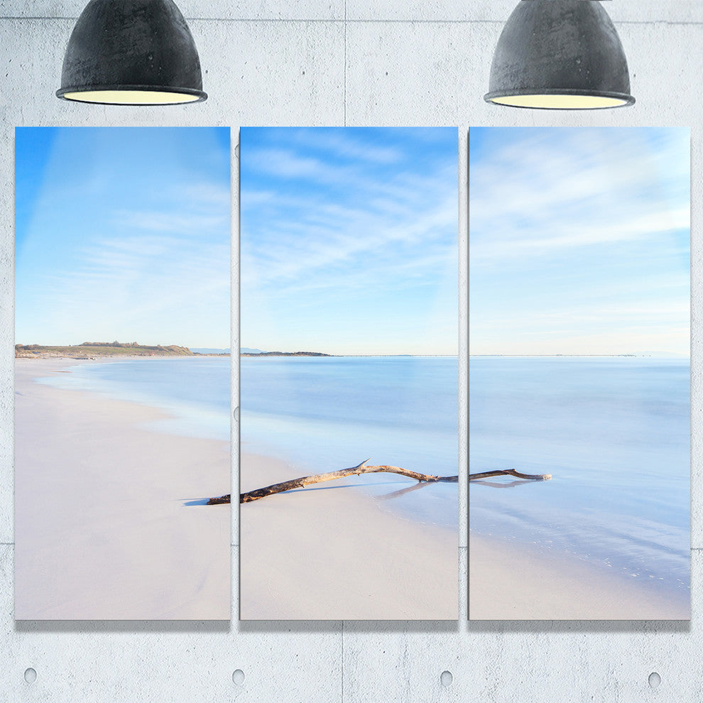 "Wood Branch on White Beach" Metal Wall Art, 3 Panels, 36"x28"