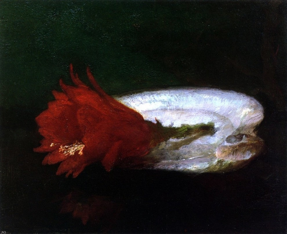 John La Farge Shell and Flower, Gallery Wrapped Canvas Print, 20"x25"