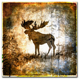 LightBoxJournal 'High Country Moose' Canvas Art, 24" x 24"
