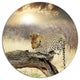 Leopard Relaxing On Tree, African Large Disc Metal Wall Art, 11"