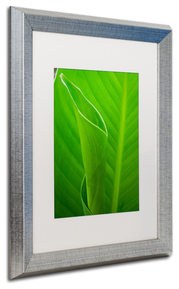 PIPA Fine Art 'Leaves Canna Lily' Matted Framed Art, 20x16