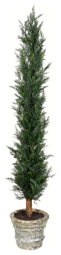60" Potted Cedar Tree