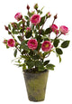 French Rose Garden