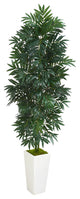 5' Bamboo Palm Artificial Plant, White Planter