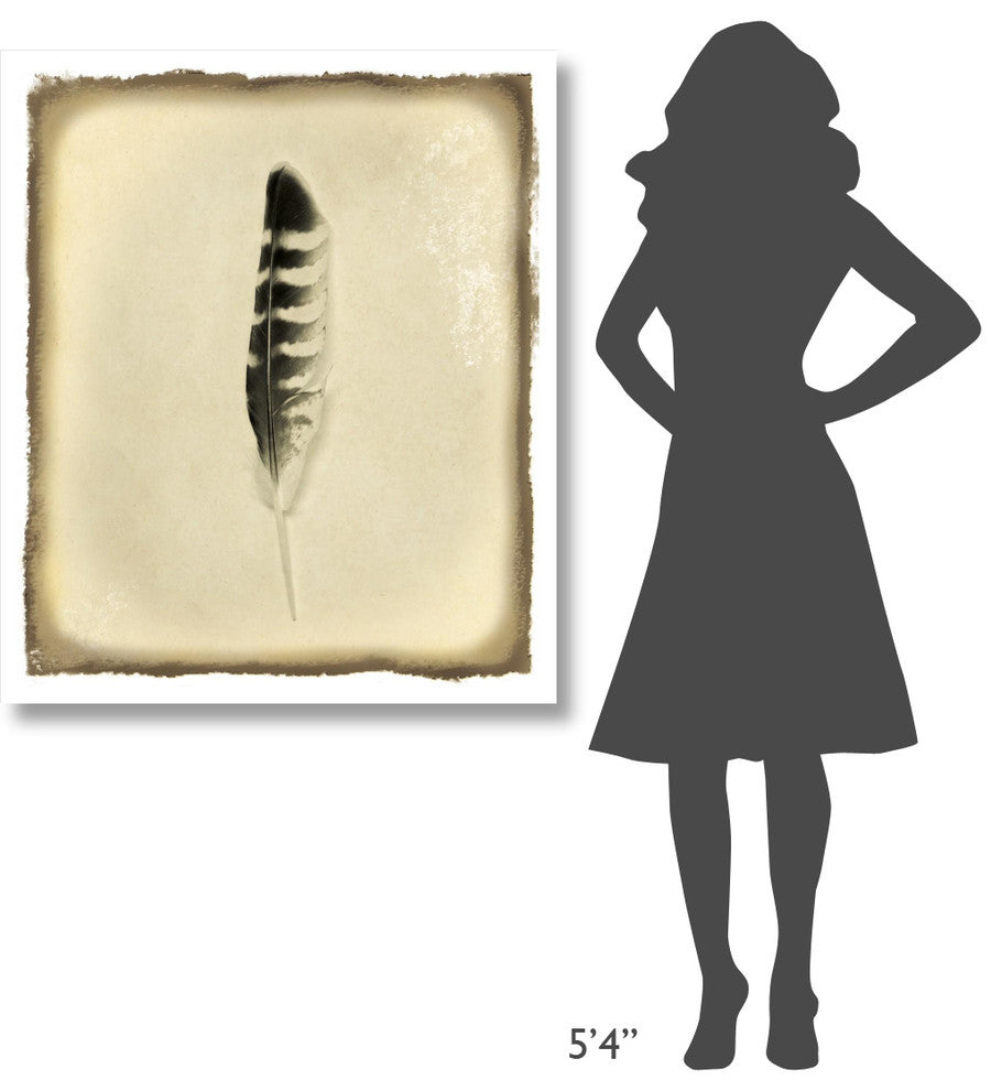 "Feather IV Vintage" Digital Paper Print by Debra Van Swearingen, 36"x42"