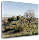 "Oak Tree - 38" By Alan Blaustein, Giclee Print on Gallery Wrap Canvas