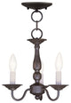 Williamsburgh Convertible Chain-Hang and Ceiling Mount, Bronze