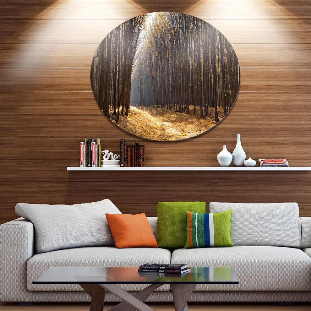 Light In The Forest Path Panorama, Forest Disc Metal Artwork, 36"