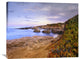 "Ice Plant Growing On Cliffs At Bean Hollow Beach, California" Artwork