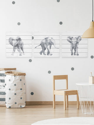 Baby Elephant Walk Triptych, 3-Piece Set, 24x24 Panels