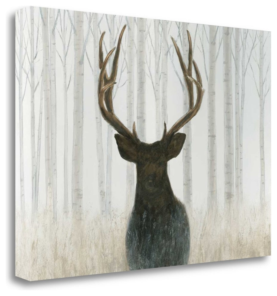 "Into The Forest" By James Wiens, Giclee Print on Gallery Wrap Canvas