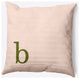 20" x 20" Modern Monogram Indoor/Outdoor Polyester Throw Pillow, Olive