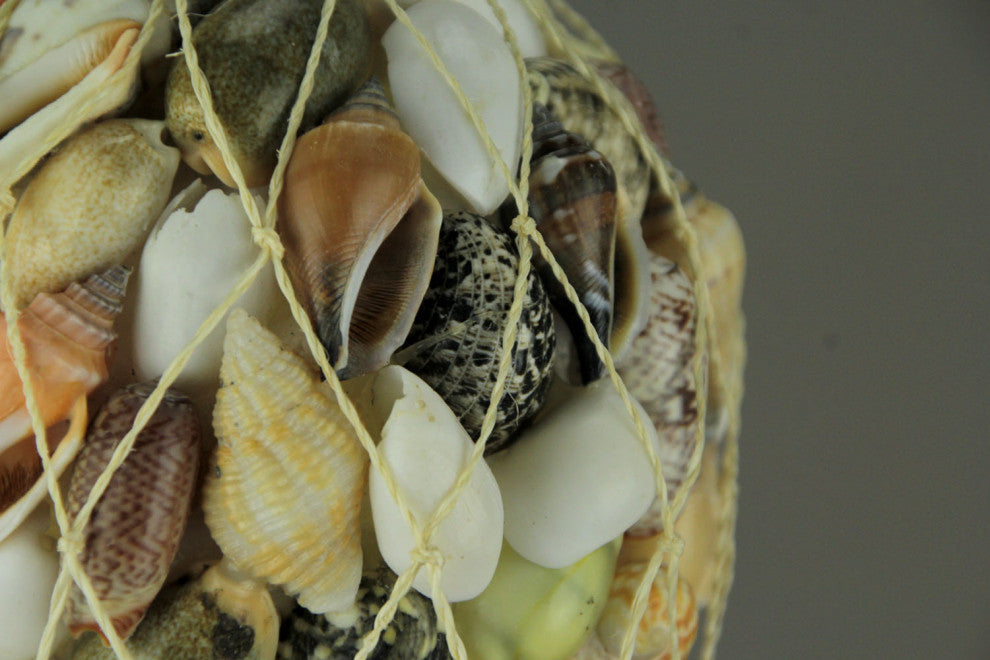 Assorted Seashell Decor Ball Figurine Set of 3